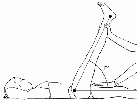 article for straight leg raise for hamstring tear test|Psychometric Properties of Four Common Clinical Tests for .